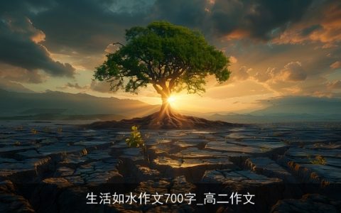 生活如水作文700字_高二作文