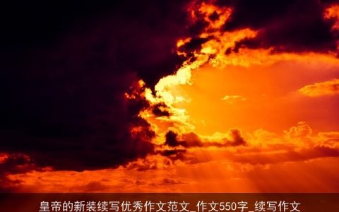 皇帝的新装续写优秀作文范文_作文550字_续写作文