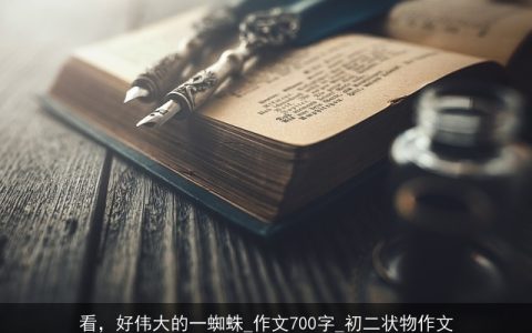 看，好伟大的一蜘蛛_作文700字_初二状物作文