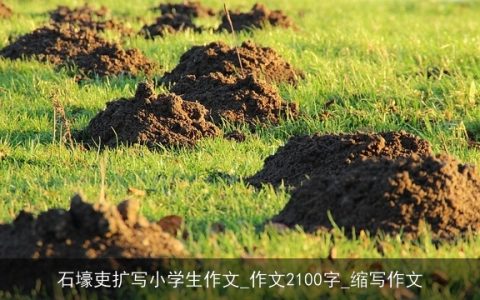 石壕吏扩写小学生作文_作文2100字_缩写作文