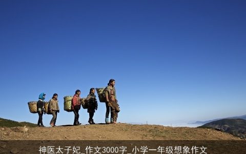 神医太子妃_作文3000字_小学一年级想象作文