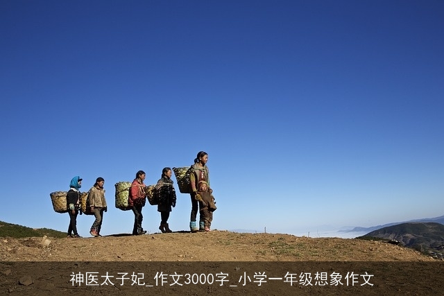 神医太子妃_作文3000字_小学一年级想象作文