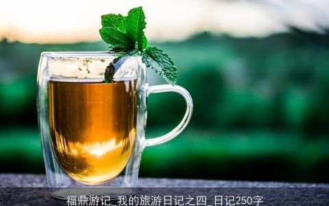 福鼎游记_我的旅游日记之四_日记250字