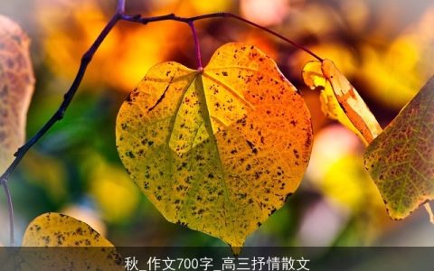 秋_作文700字_高三抒情散文