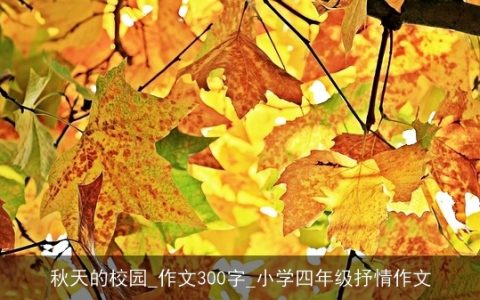 秋天的校园_作文300字_小学四年级抒情作文