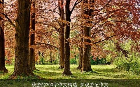 秋游的300字作文精选_参观游记作文