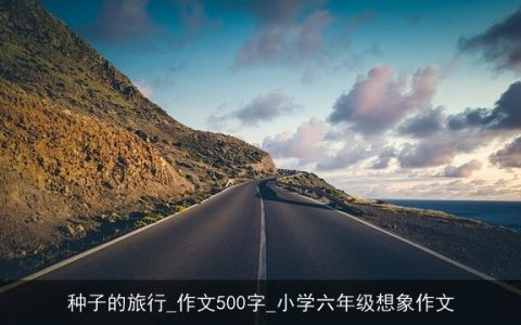 种子的旅行_作文500字_小学六年级想象作文