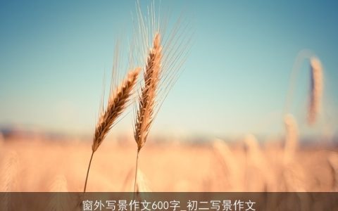 窗外写景作文600字_初二写景作文