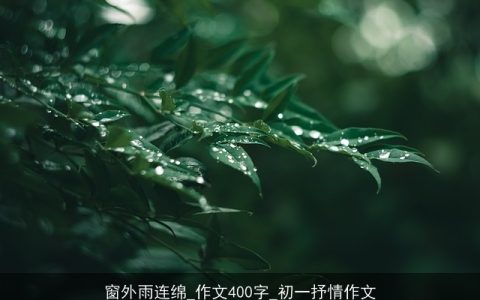 窗外雨连绵_作文400字_初一抒情作文