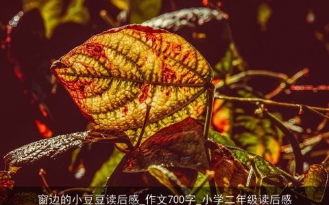 窗边的小豆豆读后感_作文700字_小学二年级读后感