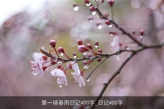 第一场春雨日记400字_日记400字