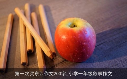 第一次买东西作文200字_小学一年级叙事作文