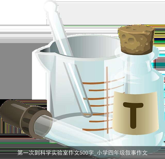 第一次到科学实验室作文500字_小学四年级叙事作文