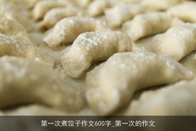 第一次煮饺子作文600字_第一次的作文