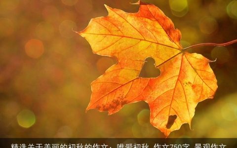 精选关于美丽的初秋的作文：唯爱初秋_作文750字_景观作文