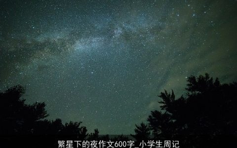 繁星下的夜作文600字_小学生周记