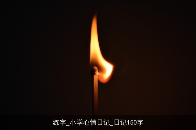 练字_小学心情日记_日记150字