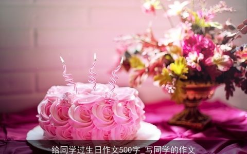 给同学过生日作文500字_写同学的作文