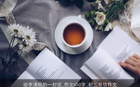 给李清照的一封信_作文650字_初三书信作文