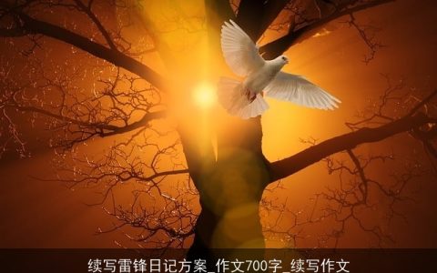 续写雷锋日记方案_作文700字_续写作文