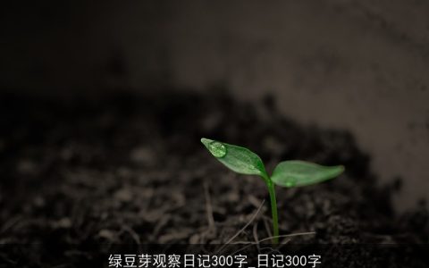 绿豆芽观察日记300字_日记300字