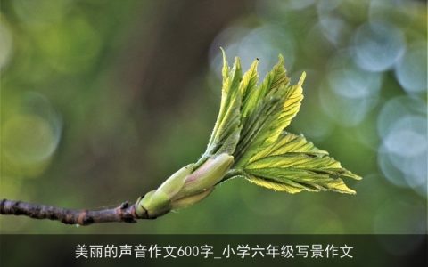 美丽的声音作文600字_小学六年级写景作文