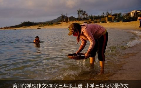 美丽的学校作文300字三年级上册_小学三年级写景作文