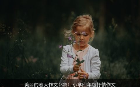 美丽的春天作文(3篇)_小学四年级抒情作文