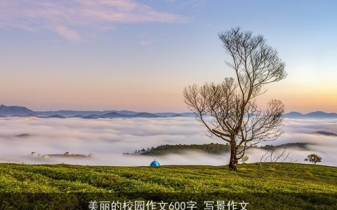 美丽的校园作文600字_写景作文