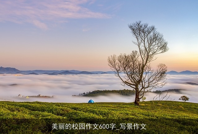 美丽的校园作文600字_写景作文