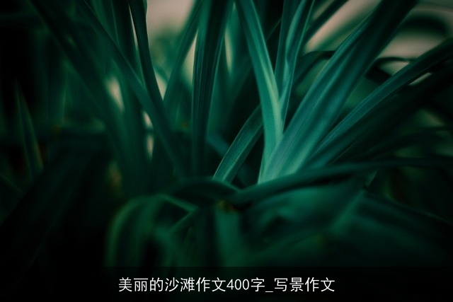 美丽的沙滩作文400字_写景作文