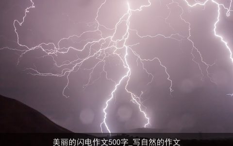 美丽的闪电作文500字_写自然的作文