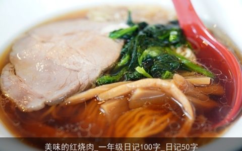 美味的红烧肉_一年级日记100字_日记50字