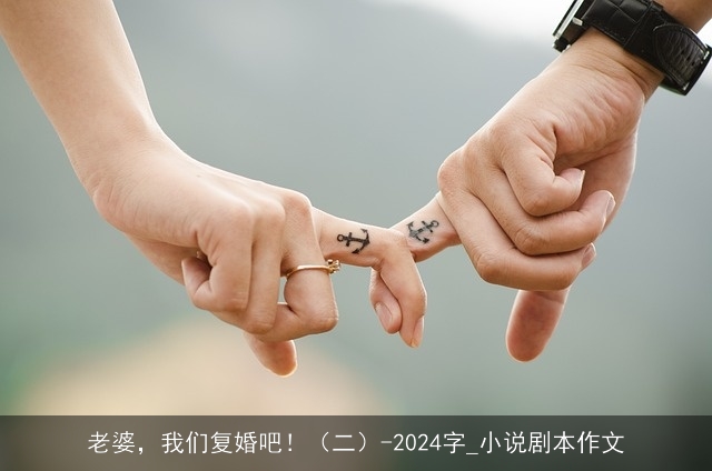 老婆，我们复婚吧！（二）-2024字_小说剧本作文