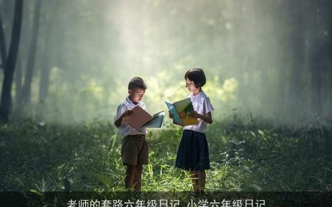 老师的套路六年级日记_小学六年级日记