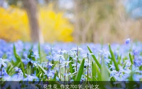 花生花_作文700字_小论文