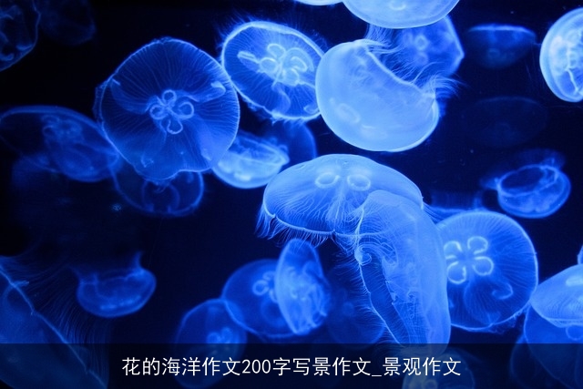 花的海洋作文200字写景作文_景观作文