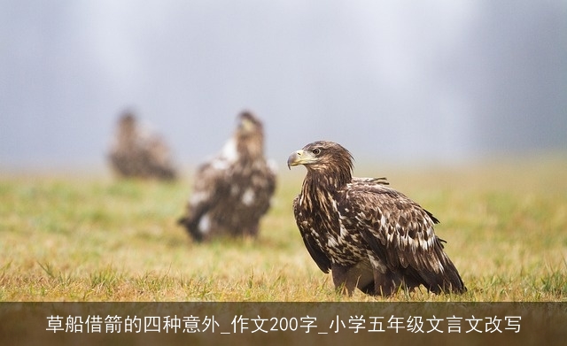 草船借箭的四种意外_作文200字_小学五年级文言文改写