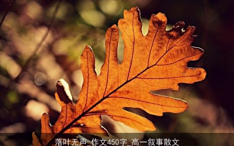 落叶无声_作文450字_高一叙事散文