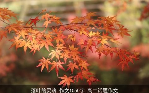 落叶的灵魂_作文1050字_高二话题作文