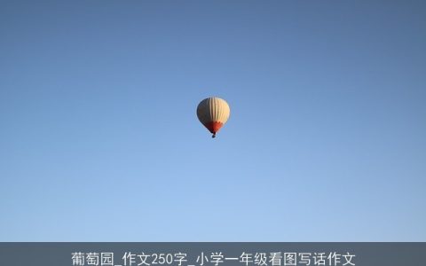 葡萄园_作文250字_小学一年级看图写话作文