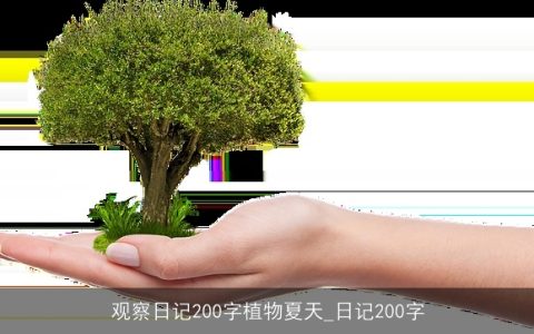 观察日记200字植物夏天_日记200字