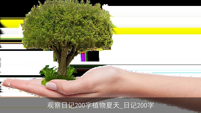 观察日记200字植物夏天_日记200字