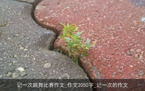 记一次跳舞比赛作文_作文2050字_记一次的作文