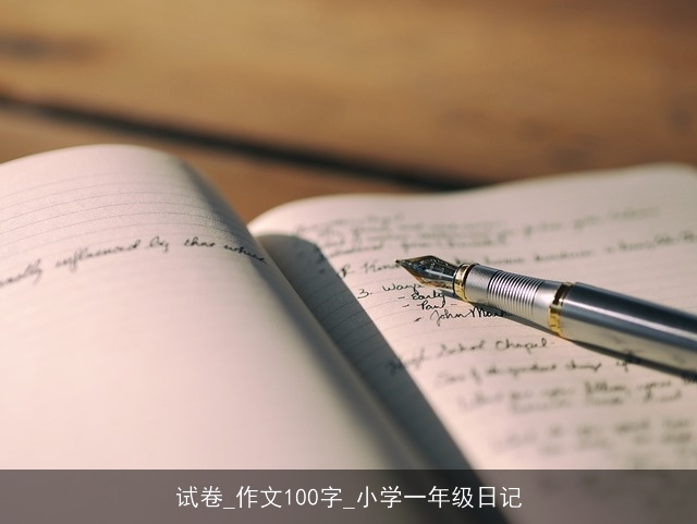 试卷_作文100字_小学一年级日记