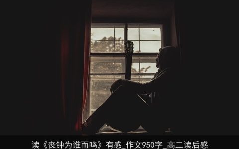 读《丧钟为谁而鸣》有感_作文950字_高二读后感