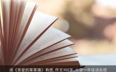 读《亲爱的笨笨猪》有感_作文300字_小学一年级读后感