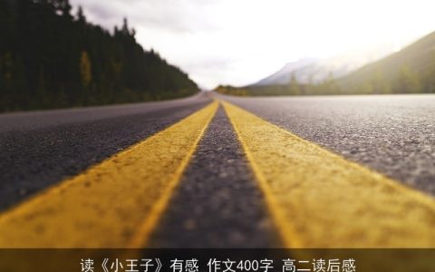 读《小王子》有感_作文400字_高二读后感