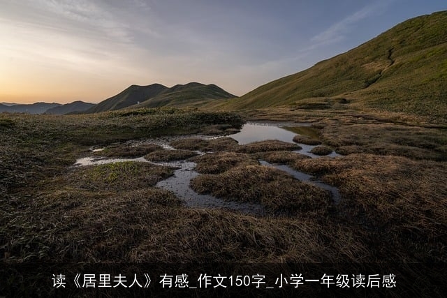 读《居里夫人》有感_作文150字_小学一年级读后感