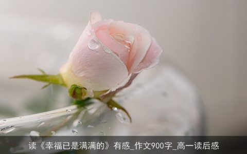 读《幸福已是满满的》有感_作文900字_高一读后感